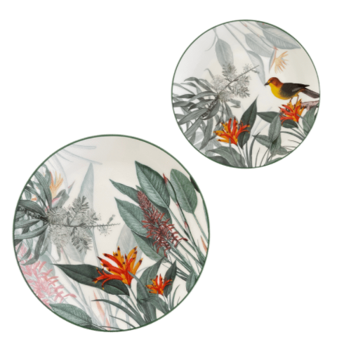 N-Kit Vajilla Amazonia